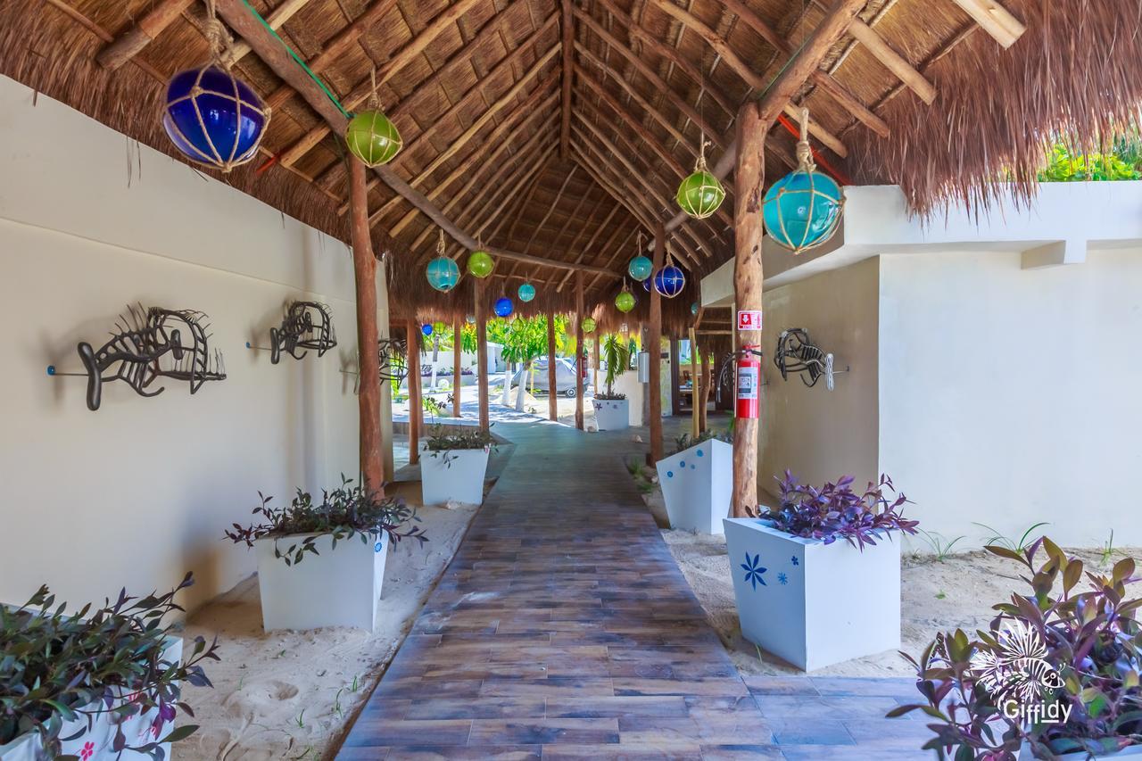 Hotel Paradise Suites Isla Mujeres Bagian luar foto